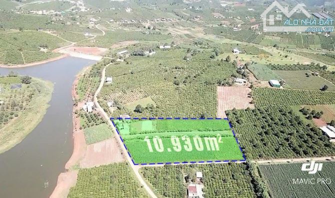 Giảm mạnh 1 tỷ! 1.1Ha Đất Lô góc, Đường 12m – Xã Phúc Thọ LĐ - 1