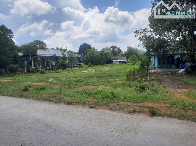 Đất nền an lập mặt tiền đường dt748 thuận tiện kinh doanh đa ngành nghề - 1