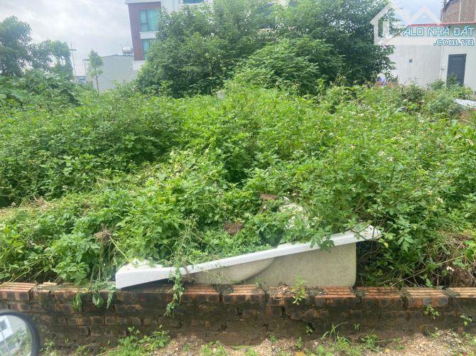 Bán đất Đấu Giá Mai Lâm Đông anh- Hàng xóm Vin Cổ Loa- 75m Oto tránh Vỉa hè nhỉnh 11 tỷ ( - 1