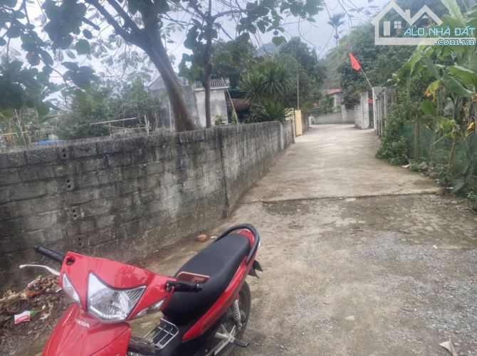 Thanh lý gấp mảnh đất chính chủ hơn 1 nghìn mét - Phú Thọ - 1