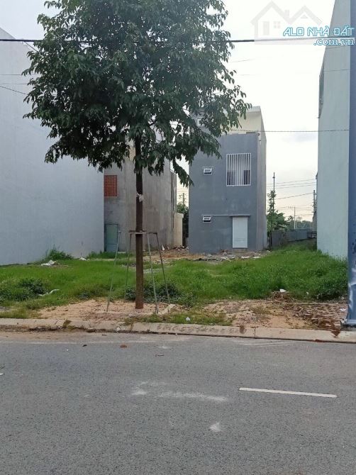 BỐC PHỐT BÁN LÔ ĐẤT QUÁ ĐẸP – 220M² NGAY MT QUỐC LỘ 51, TRUNG TÂM LONG THÀNH – GẦN CHỢ LT - 1