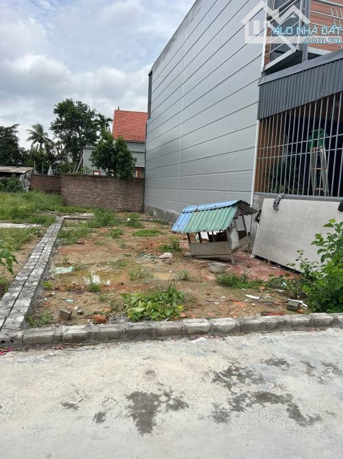 Bán đất tại Tổ Dân Phố Tự Lập, Phường An Hải, Quận An Dương, TP Hải Phòng - 1
