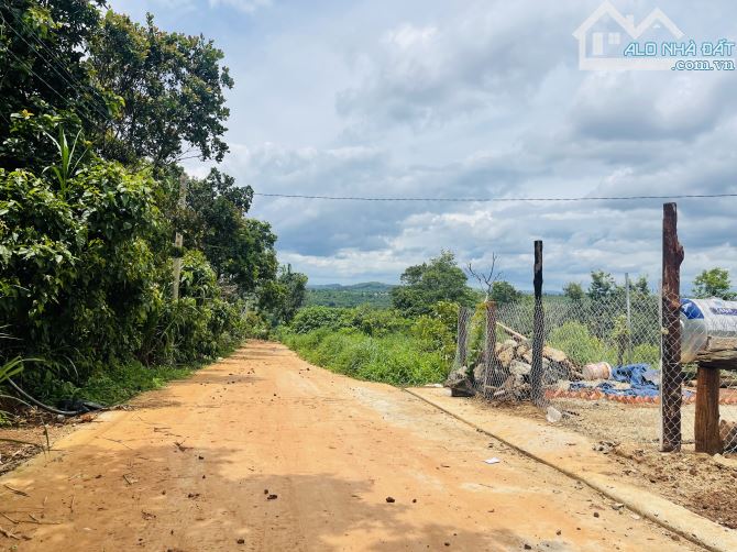 Bán 3ha đất nông nghiệp ngay khu dân cư Ymoan - 1