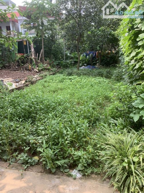 cần bán đất chính chủ tại yên nghĩa hà đông - 1
