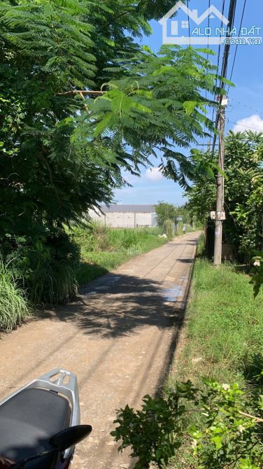 5000M2 ĐẤT NÔNG NGHIỆP - RẠCH CHIM- HIỆP PHƯỚC - NHÀ BÈ. - 1