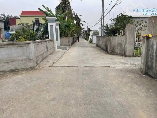 🌟 BÁN ĐẤT CỐC LIỄN – MINH TÂN (KIẾN THỤY) 🌟 - 1