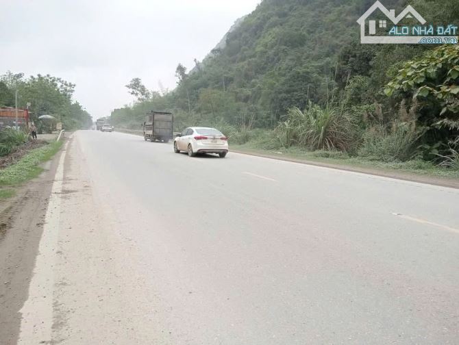 SIÊU PHẨM ĐẤT MẶT ĐƯỜNG HỒ CHÍ MINH –  VỊ TRÍ VÀNG KINH DOANH - 1