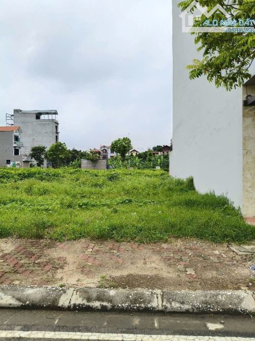 BÁN ĐẤT TĐC KIM SƠN – VỊ TRÍ ĐẸP, GIÁ TỐT ✨ - 1