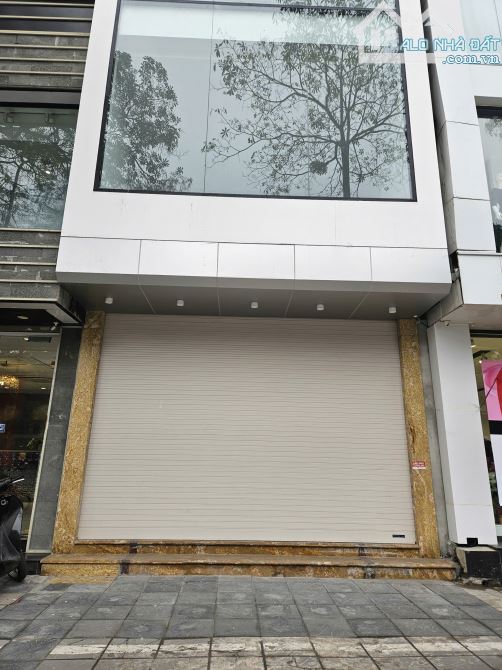 Bán nhà MP Trúc Khuê, Dt 50m2 x 6 Tầng, MT: 3.8m, Đường 15m, vỉa hè 5m, Tiện KD. - 1