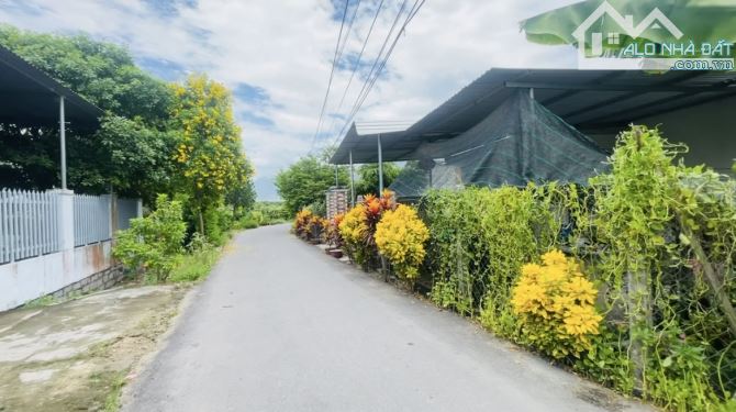 Bán Đất Bình Lộc Diên Khanh, Nay Là Suối Hiệp Khánh Hoà Đất CLN Diện Tích 1044m2 - 1