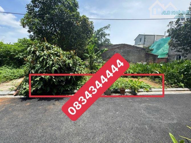 🔥🔥ĐẤT ĐẸP VIEW CÔNG VIÊN - 2 MẶT NGÕ - KINH DOANH BẤT CHẤP MỌI MẶT HÀNG - TÂY BẦU- KIM C - 1