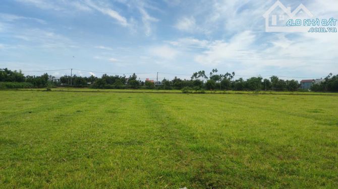 📌📌📌LÀM VIỆC TRỰC TIẾP GIÁ TỐT !!!Bán đất view lúa cẩm kim hội an - 1