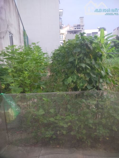 34 Mảnh đất vàng tiềm năng Sinh lời cực lớn - đồng nhân - hải bối DT 43m2 giá cực hấp dẫn - 1