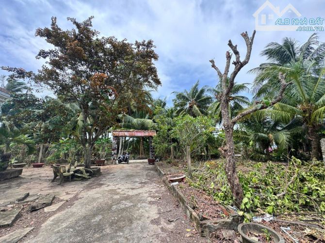 Cần bán gấp gần 1000m nhà và đất( 100m thổ cư) nhà thuộc phường sơn đông, đường ô tô đến đ - 1