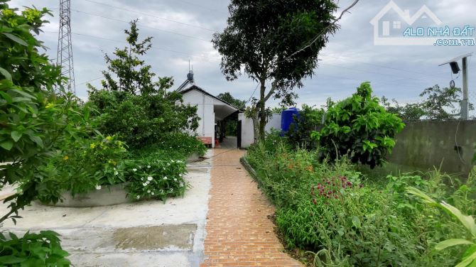 Khu nhà vườn mặt tiền DT 909B thích hợp làm homestay, quán ăn,.. gần khu T&T Tam Đa - 12