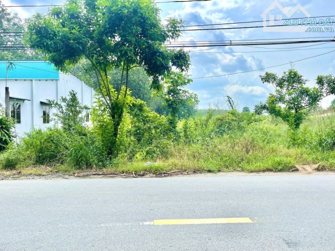 Cần bán đất mặt tiền đường Nguyễn Thị Rành xã An Nhơn Tây Củ Chi DT 2300m2 300 thổ cư - 4