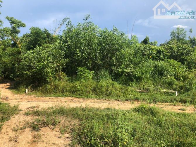 🕋🕋 Đất 261m2 Hương Thọ, Huế giá rẻ 895 triệu - 4