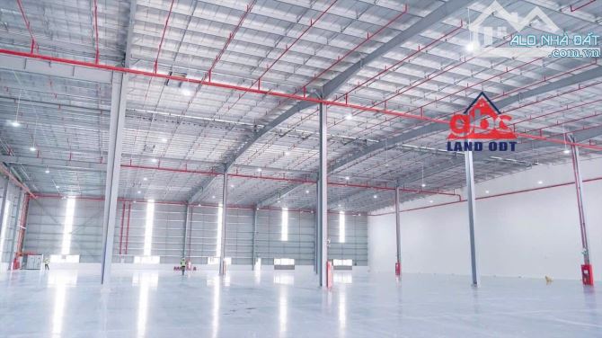 XT318 Cho thuê Kho Bãi - Dịch Vụ Hậu Cầu Cảng ( LOGISTIC ).  Tại Đồng Nai - 2