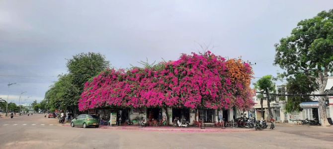💥BÁN GẤP LÔ THỔ CƯ MTKD VÕ THỊ SÁU - PHƯỜNG HƯNG LONG - TP PHAN THIẾT - 2