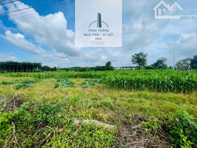 Đất Xã Bình Trung - Khu Dân Cư - Gần Uỷ Ban - Trường Học - Chợ - 2