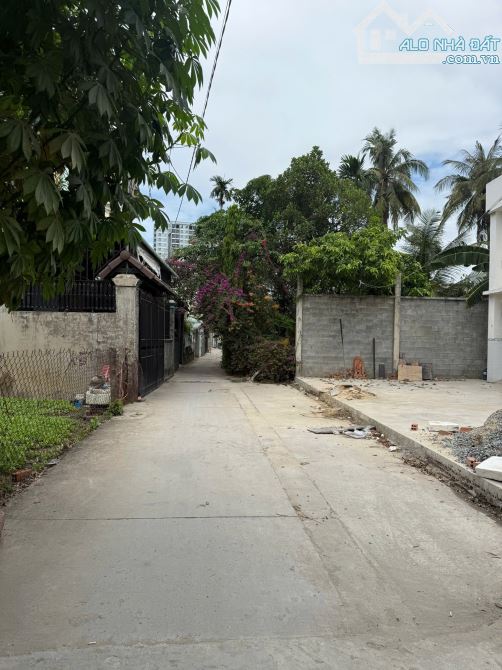 Đất Trung Tâm Lái Thiêu, Thuận An (Cách Chợ Lái Thiêu 500m) Đường 4m thông - 2
