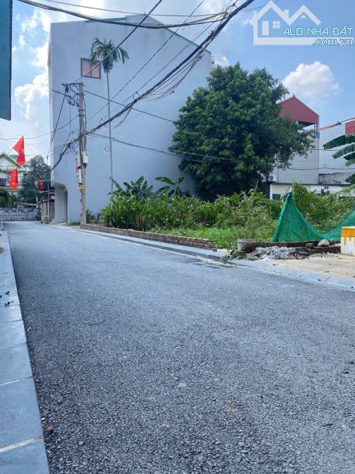 Bán mảnh đất 70m2 tại thôn Đản Dị,Uy Nỗ,Đông Anh,Hà Nội - 2