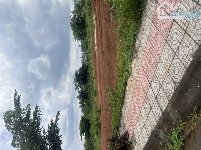 Chạy tiền cần bán gấp lô đất 200m2 ngay trung tâm Bù Đăng giá 800TR, thổ cư, SHR - 2