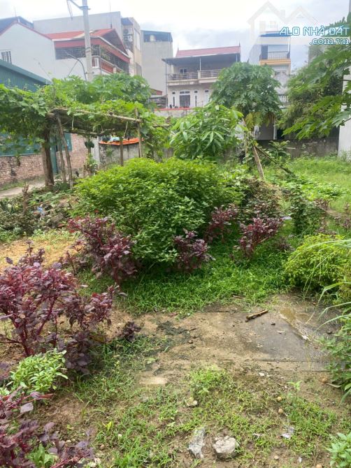bán 45m2 đất thôn Đồng NHân ( Hải Bối) nay là xã Vĩnh Thanh - 2