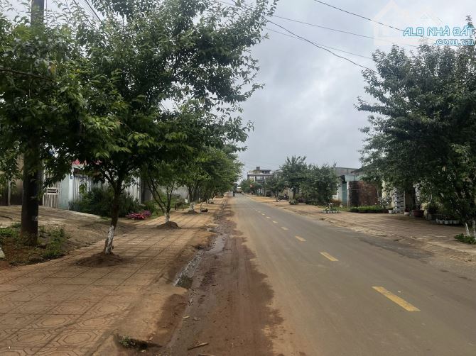 bán 181m2 đất măng đen -kon tum giá 4,6 tỷ kích thước 7 x 26m - 2