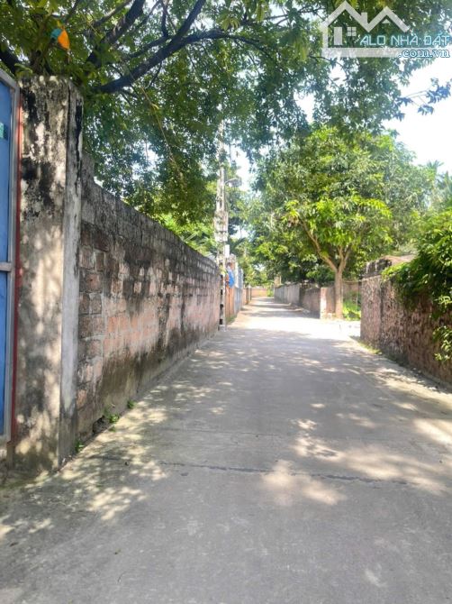 Hang phân lô cực hiếm DT : 600m có 300m tc đường ô tô thông giá nhỉnh 10tr /m - 2