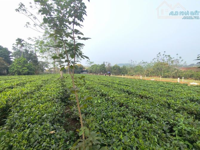 Bán lô đất trục liên thôn xã Suối Hoa đường 2 oto tránh_729M_150M đất ở_mặt tiền 13,5M_3,x - 2