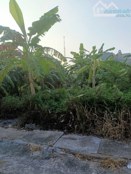 Bán đất - Vũ Lạc,Lô Góc,đầu tư sinh lời,giá Rẻ,đường ô tô,DT:63m,MT:5m,Giá:850tr - 2