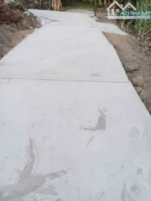 BÁN LÔ ĐẤT  GẦN CHỢ NGÂN ĐIỀN 307M2- 80M2 THỔ CƯ ĐƯỜNG Ô TÔ- 300 triệu - 2