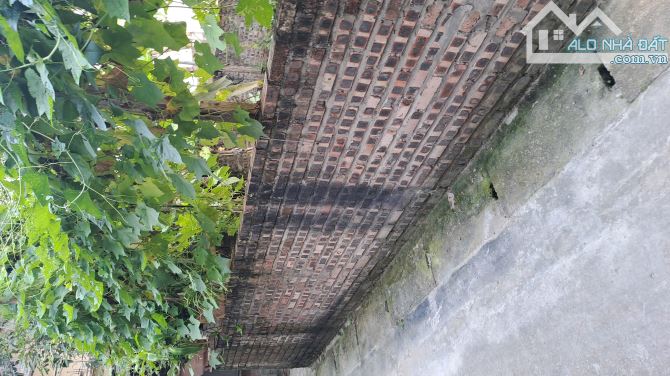 BÁN ĐẤT PHÚC LỢI 4.8 TỶ, DT45M2, MT4.8M, Ô TÔ CÁCH 30M. CHỦ THIỆN CHÍ BÁN - 2