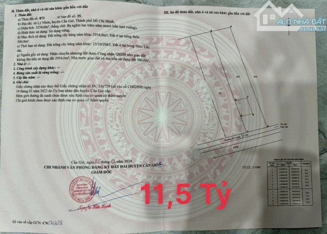 Cần bán gấp lô đất mặt tiền đường Xương cá số 3 - Lý Nhơn, Cần Giờ - 2