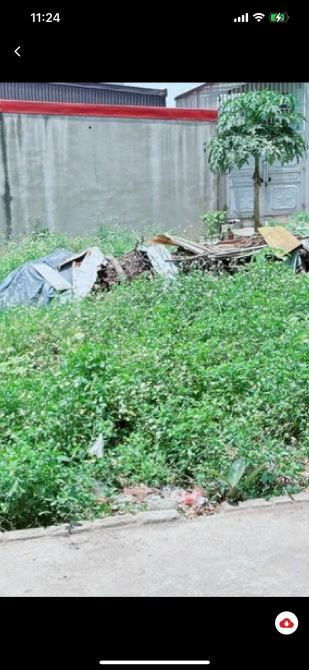 Bán đất vuông vắn lô góc thị trấn Quang minh mê linh hà nội - 2