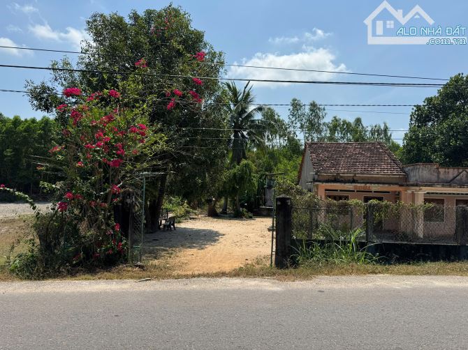 Cần bán đất thổ cư thôn Thuận Phong, Xã Cát Lâm, Huyện Phù Cát - 2