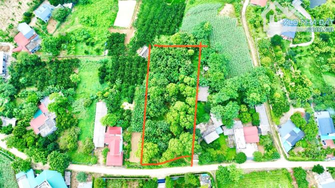 2778m Có 200m Đất Ở - TRên Đất Trồng Dổi Và Xoan - View Cánh Đồng Đẹp - 2