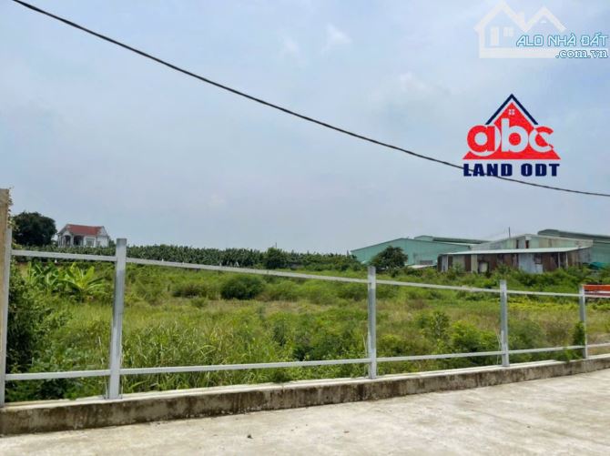 X101 Chuyển nhượng toàn bộ nhà xưởng và đất rộng 13,000m2. Tại Vĩnh Cửu. Đồng Nai - 2