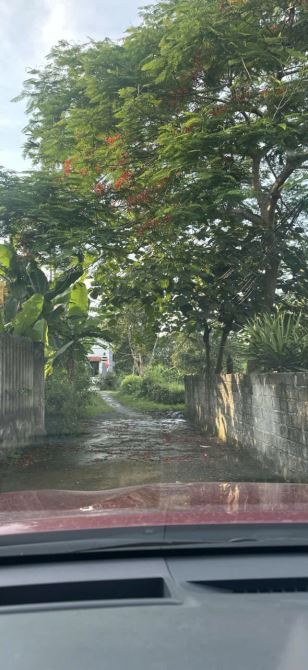 Thanh lý gấp mảnh đất chính chủ hơn 1 nghìn mét - Phú Thọ - 2