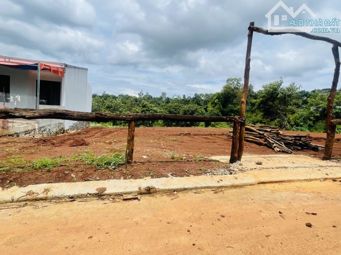 Bán 3ha đất nông nghiệp ngay khu dân cư Ymoan - 2