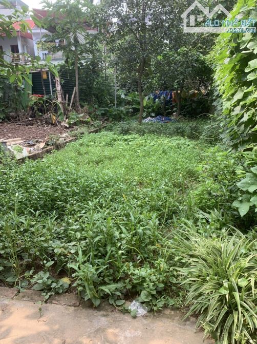 cần bán đất chính chủ tại yên nghĩa hà đông - 2