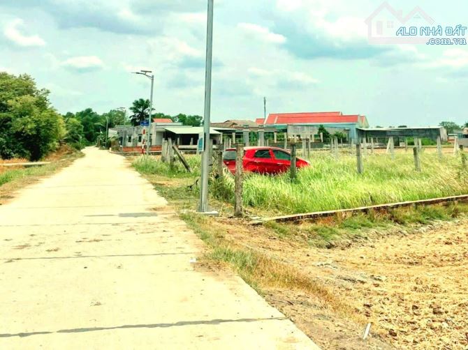 Hàng Ngon, 1960m2 đất có 200m2 thổ cư đường nguyễn văn tiết - 2
