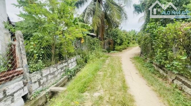Bán Đất Bình Lộc Diên Khanh, Nay Là Suối Hiệp Khánh Hoà Đất CLN Diện Tích 1044m2 - 2