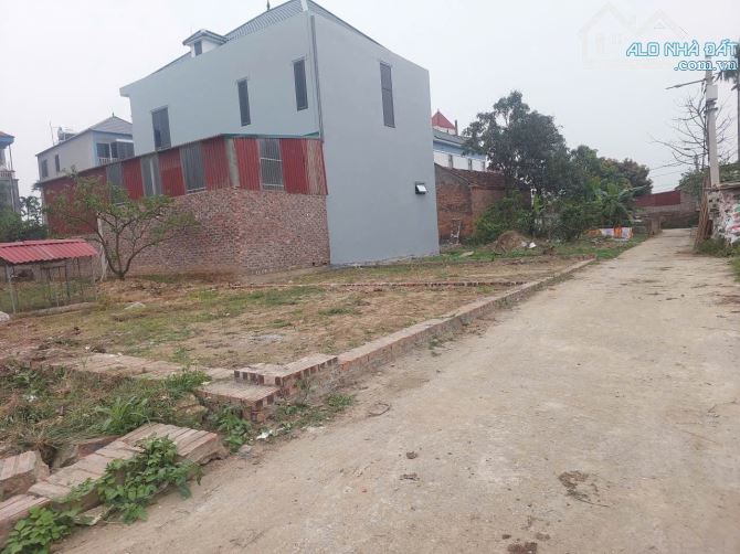 Bán gấp 50m đất tổ 9, Quang Minh, Mê Linh. (Nay là thôn Ấp Tre). Full thổ cư, mặt tiền - 2