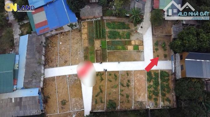 Bán lô đất góc 2 mặt thoáng tại Đồng Mít,Đồng Tâm, Mỹ Đức - 2
