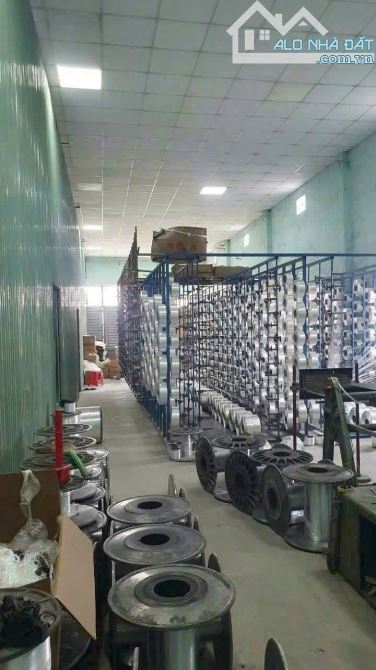 NHÀ XƯỞNG 1.231M² FULL THỔ TÂN THẠNH ĐÔNG, CỦ CHI – GIÁ 12 TỶ TL - 2