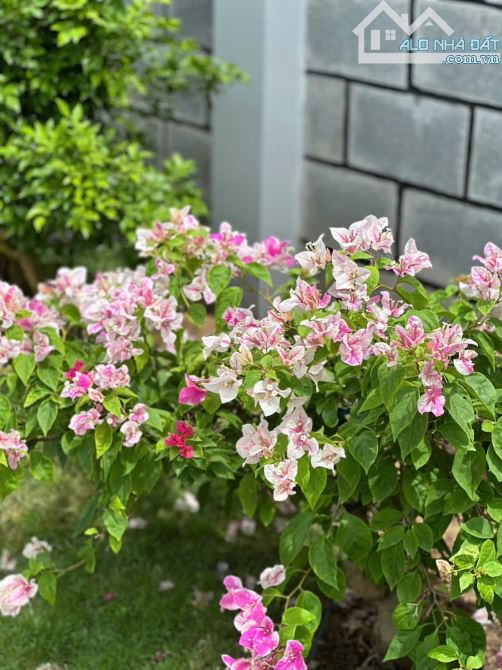 Nhà sân vườn, sân rộng dài 9m Tại Ấp Đồng xã Trung An - 3
