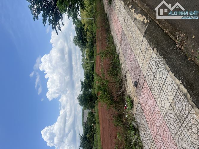 Chạy tiền cần bán gấp lô đất 200m2 ngay trung tâm Bù Đăng giá 800TR, thổ cư, SHR - 3