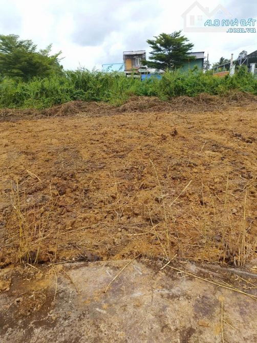 Bán đất gần IDICO Tân Đức  diện tích 2.300m2 xã Hựu Thạnh, Đức Hòa, Long An giá 13.8 tỷ - 3
